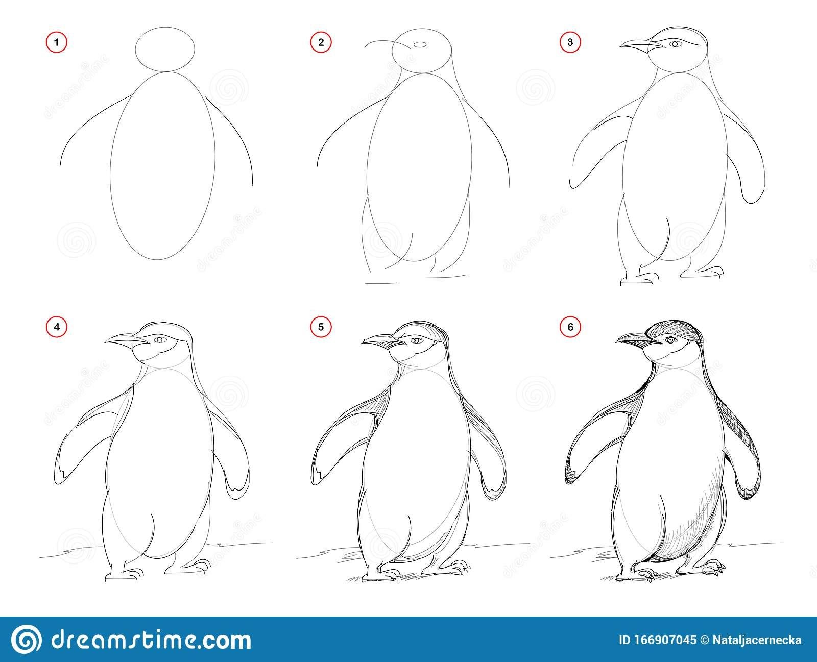 Пингвин поэтапное рисование для детей