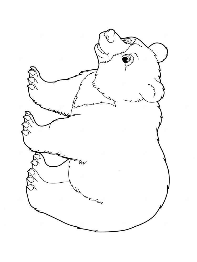 Раскраска медведь для детей 2 3 лет. Медведь раскраска. Медведь раскраска для малышей. Раскраска медведь для детей 3 лет. Медведь раскраска для детей 2-3 лет.