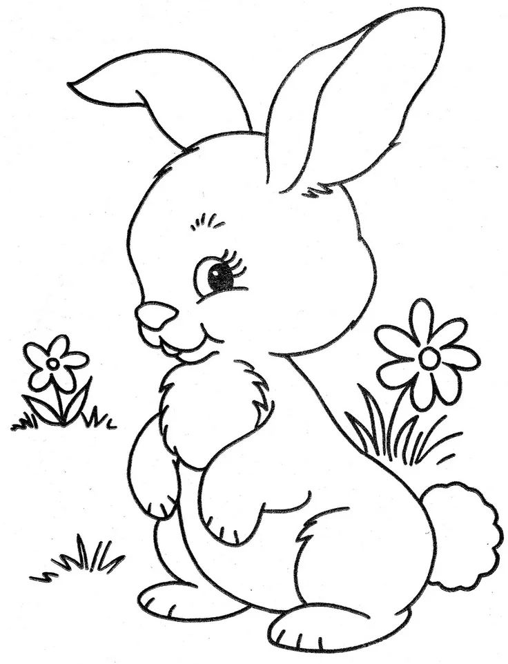 Кролик ребенку 4 лет. Заяц раскраска. Зайчик раскраска для детей. Трафарет зайчика для рисования. Зая раскраска для детей.
