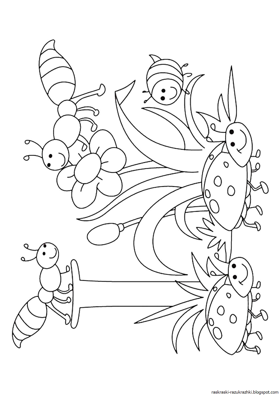 Раскраски насекомые для детей 5 6. Насекомые. Раскраска. Насекомые раскраска для детей. Насекомые для раскрашивания детям. Раскраска насекомые для дошкольников.