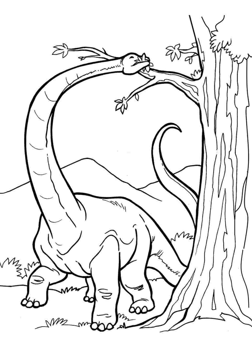 Раскраска динозавр формат а4. Раскраска динозавр Диплодок. Динозавры раскраски Диплодок Диплодок. Динозавры раскраска типлодог. Раскраска динозавр Бронтозавр.