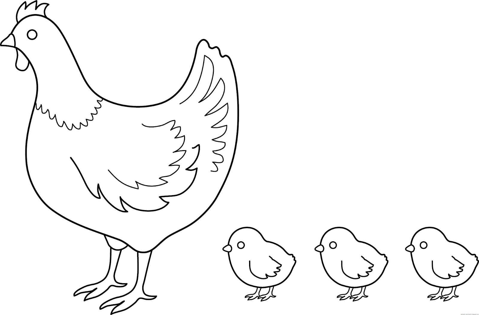 Раскраска 3 цыпленка