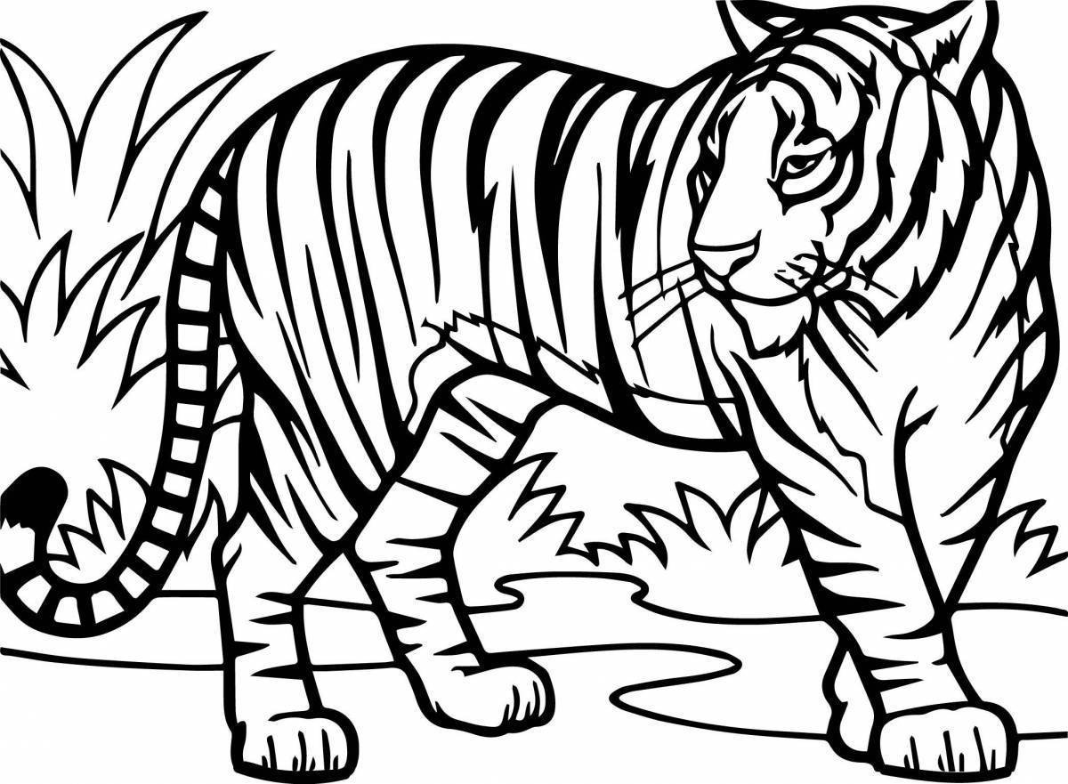 Раскраски Тигра