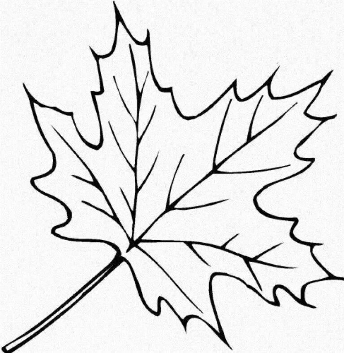 Лист для раскрашивания. Листья раскраска. Листья деревьев раскраска. Осенние листочки раскраска. Осенние листочки раскраска для детей.