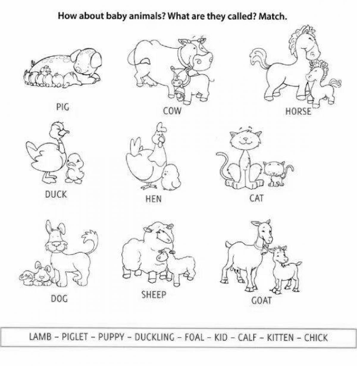 английские картинки для детей 5 лет