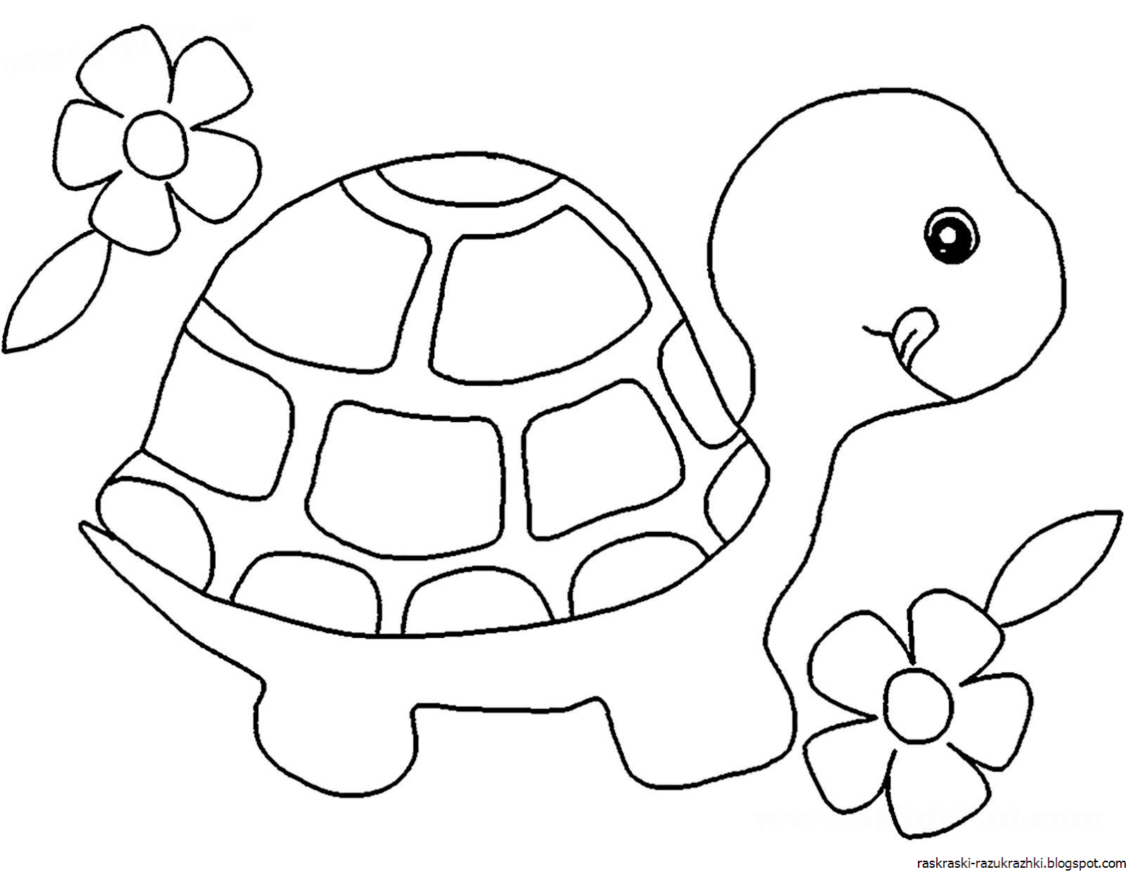 Трафареты для раскрашивания. Раскраска черепаха. Черепаха раскраска для детей. Черепашка раскраска для малышей. Трафареты для рисования пластилином.