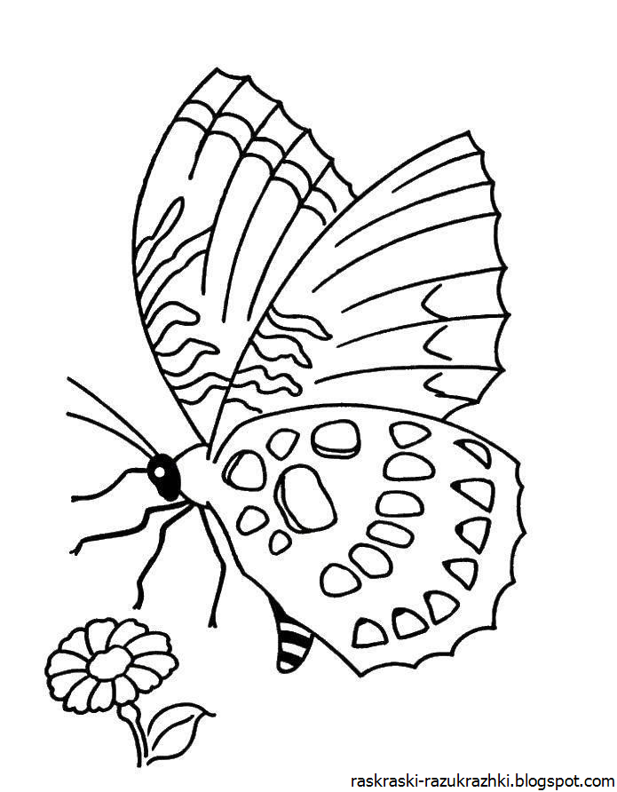 Насекомые раскраска для детей 6 7 лет. Раскраска "бабочки". Бабочка раскраска для детей. Бабочка раскраска для малышей. Детские раскраски бабочки.