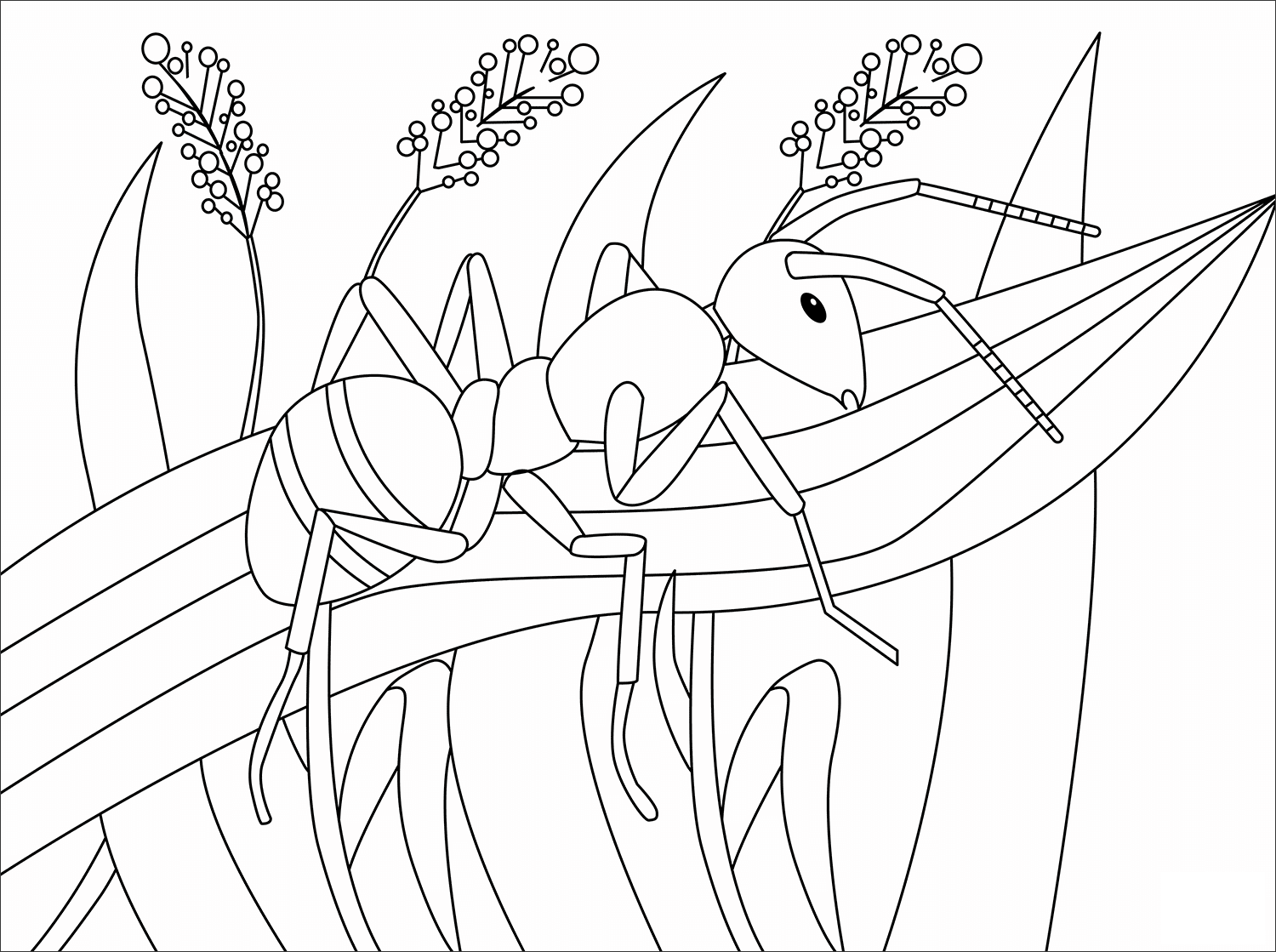 Раскраска насекомые для детей 7 лет. Раскраска насекомые для малышей. Насекомые раскраска для детей. Раскраска насекомые для дошкольников. Раскраска насекомые муравей.