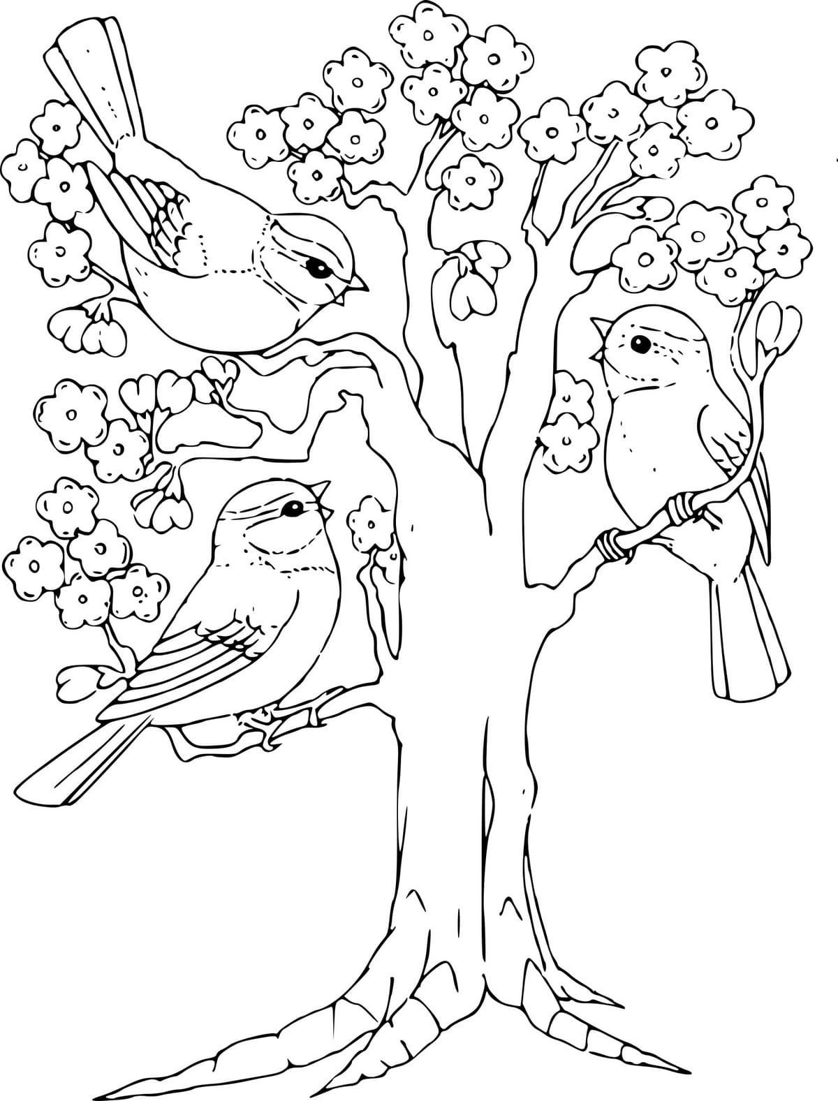 Распечатать раскраски про весну. Весенние раскраски для детей. Птицы. Раскраска. Весеннее дерево раскраска. Весенние птицы раскраска.