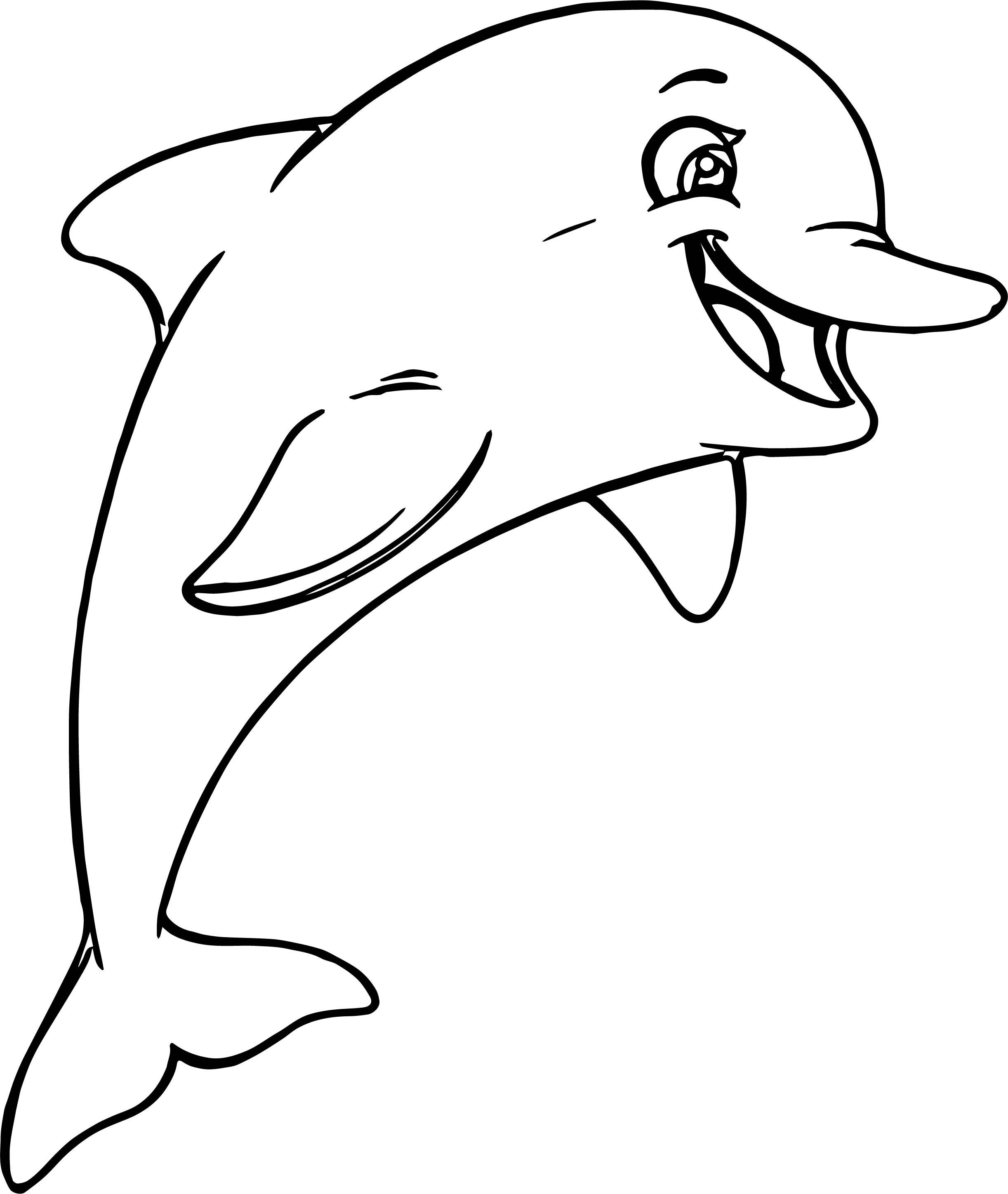Раскрашивать дельфины. Беломордый Дельфин раскраска. Дельфин раскраска для детей. Дельфины картинки раскраски. Дельфинчик раскраска для детей.