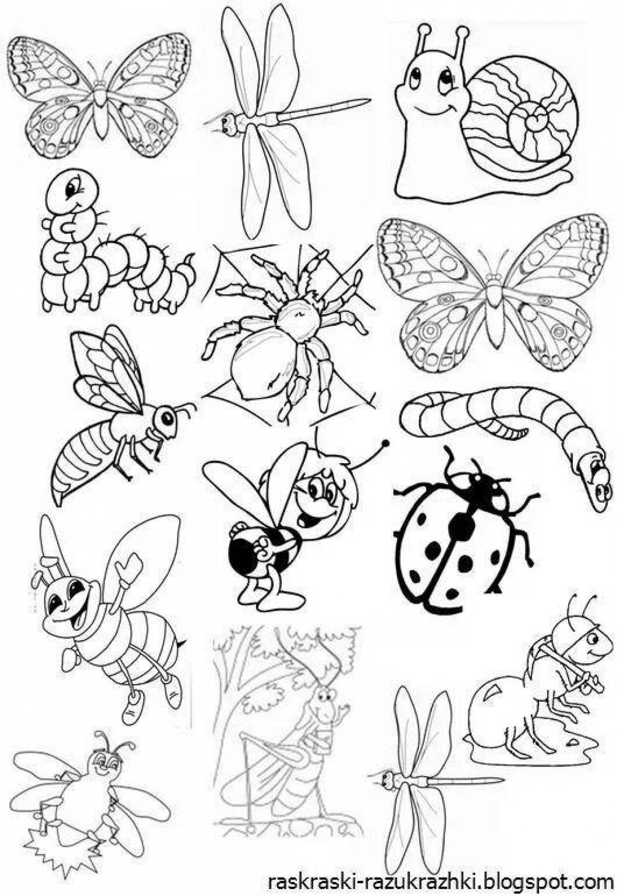 Раскраски насекомые для детей 5 6. Насекомые раскраска для детей. Раскраска насекомые для дошкольников. Раскраски насекомые в средней группе. Разукрась насекомых для дошкольников.