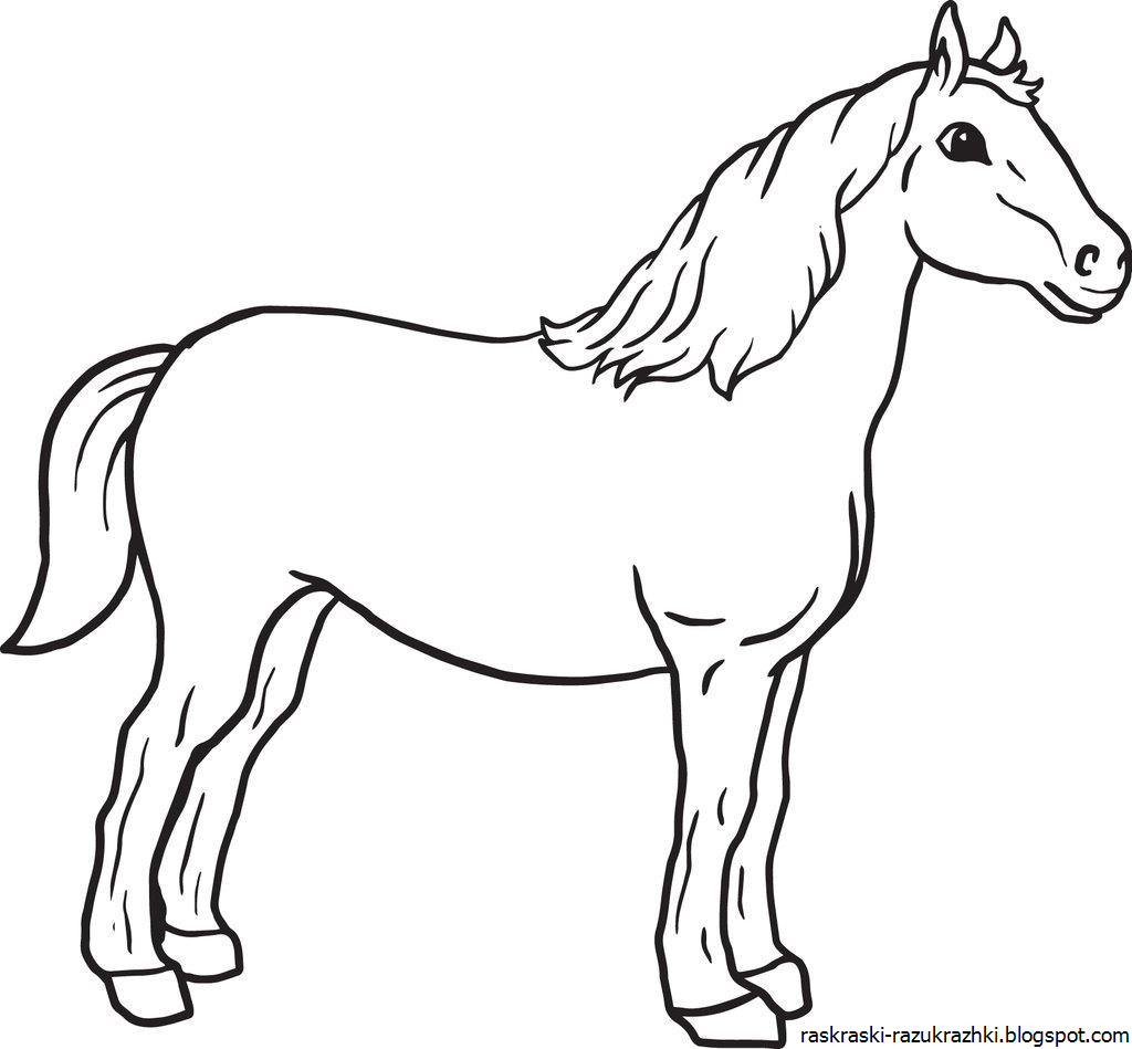 Лошадка для рисования. Раскраска. Лошадка. Лошадка раскраска для детей. Лошадь раскраска для детей. Лошадь раскраска для малышей.