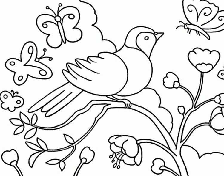 День птиц раскраски для детей. Птицы. Раскраска. Весенние раскраски для детей. Раскраска для малышей. Птицы. Весенние цветы раскраска для детей.