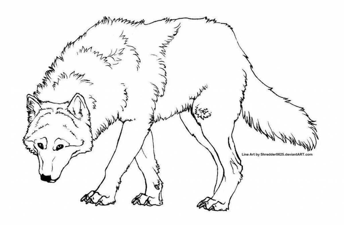 Волк картинка распечатать. Раскраска волк. Волк раскраска для детей. Раскраска "Дикие животные". Волк картинка для детей раскраска.