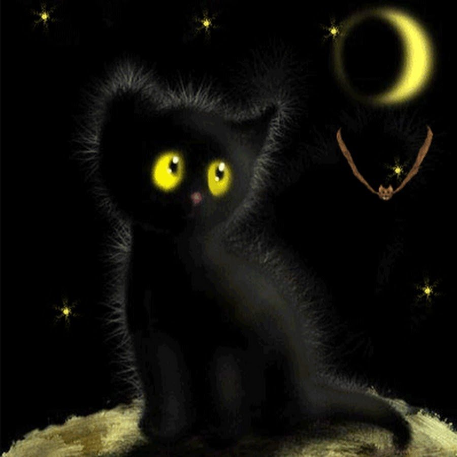 Спокойной ночи черная кошка