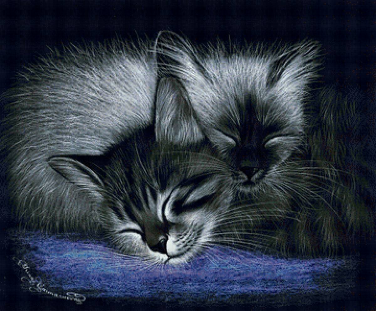 картинки спокойной ночи с кошками