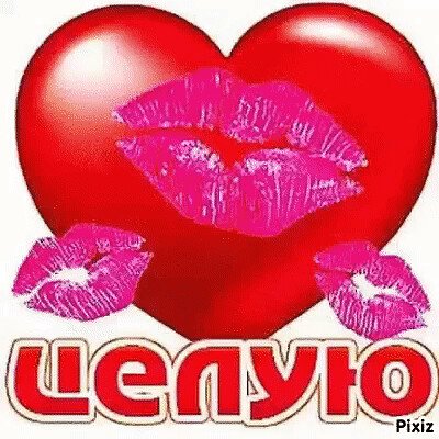 Целую обнимаю