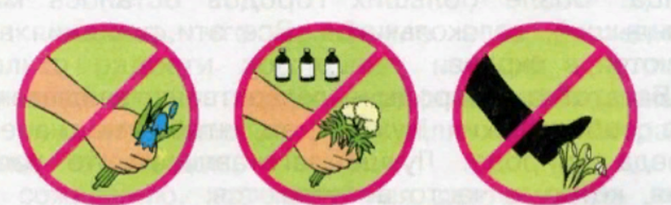 Знак можно нельзя. Охрана растений. Берегите растения знаки. Знаки природы. Экологические знаки.