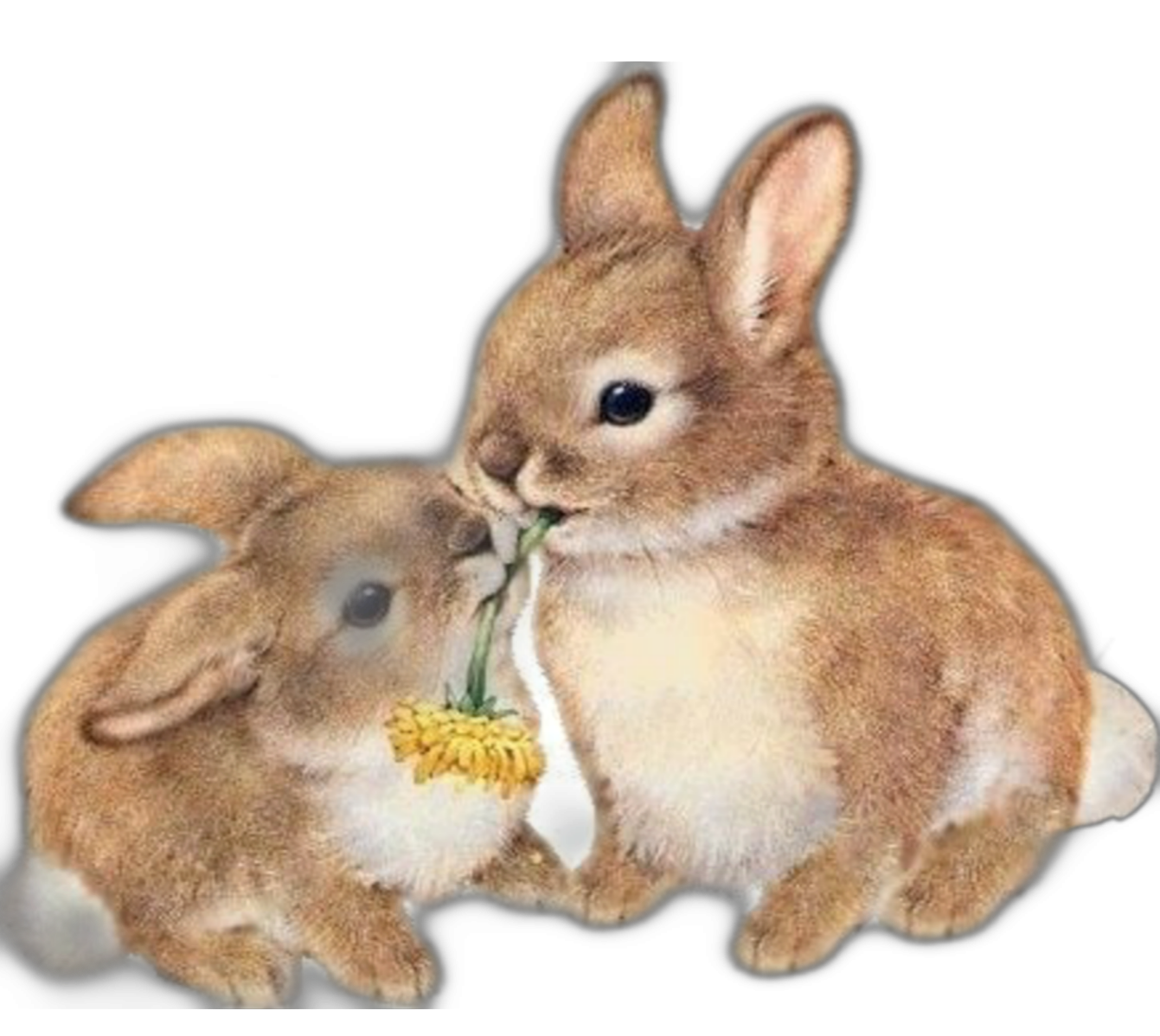 Зайчик зайчата. Зайчиха с зайчатами для детей. Зайчиха с зайчонком. Семья кроликов. Зайчик картинка.