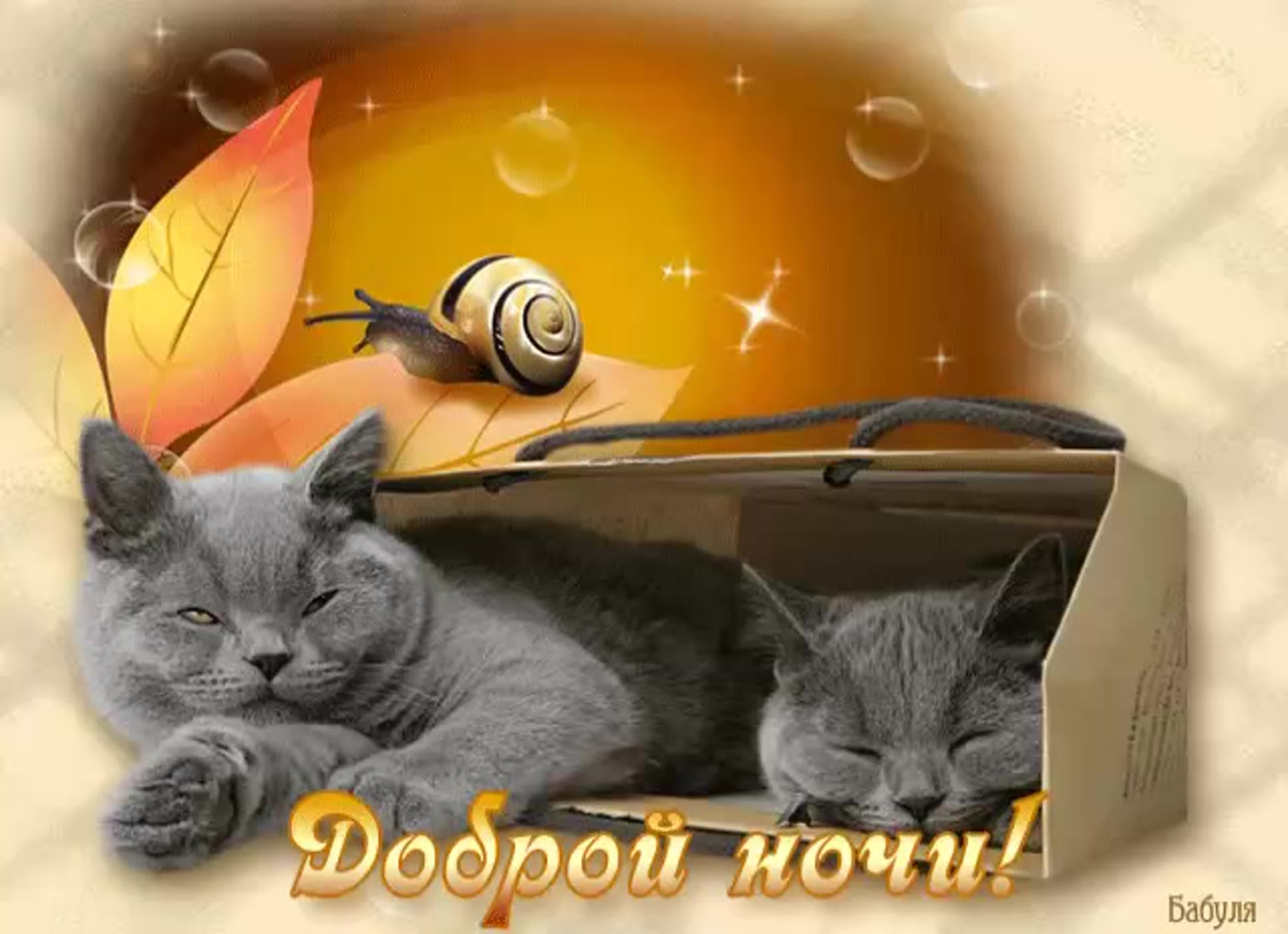 Доброй ночи сладких снов весенние картинки. Открытки спокойной ночи. Доброй ночи котик. Открытки спокойной ночи с кошками. Доброй ночи с котятами.
