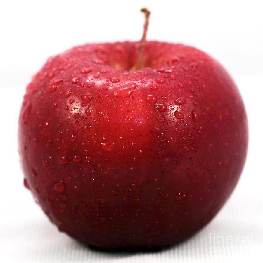 Яблоко. Яблоки красные. Яблоко на белом фоне. Яблоки свежие. Сладкое сочное яблоко