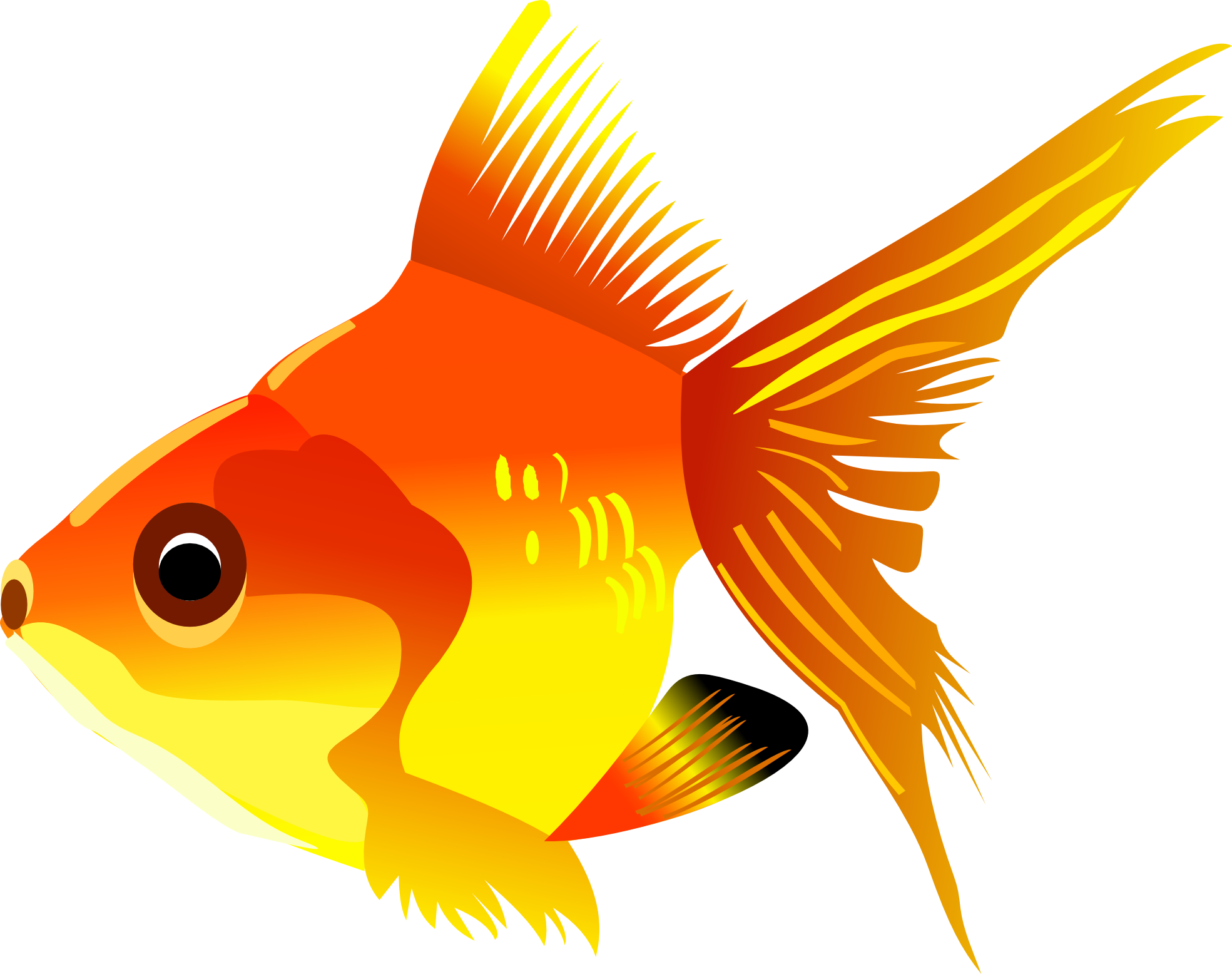 Рыбка картинка. Рыбка на прозрачном фоне. Рыбка без фона. Картинка Золотая рыбка на прозрачном фоне. Рыба на прозрачном фоне.