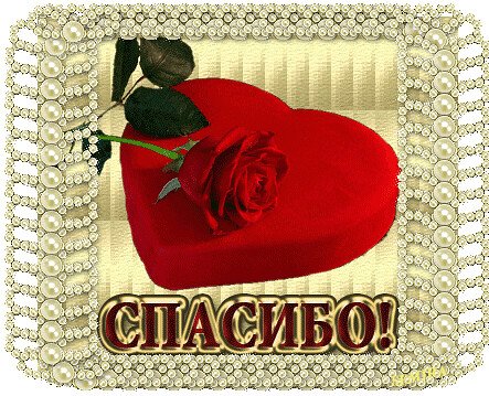 Гифы с благодарностью