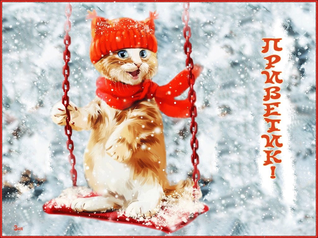 Добрый день зимнее прикольное. Зимний приветик. Зимнего настроения и хорошего дня коты. Красивые зимние приветы. Зимний приветик открытки.