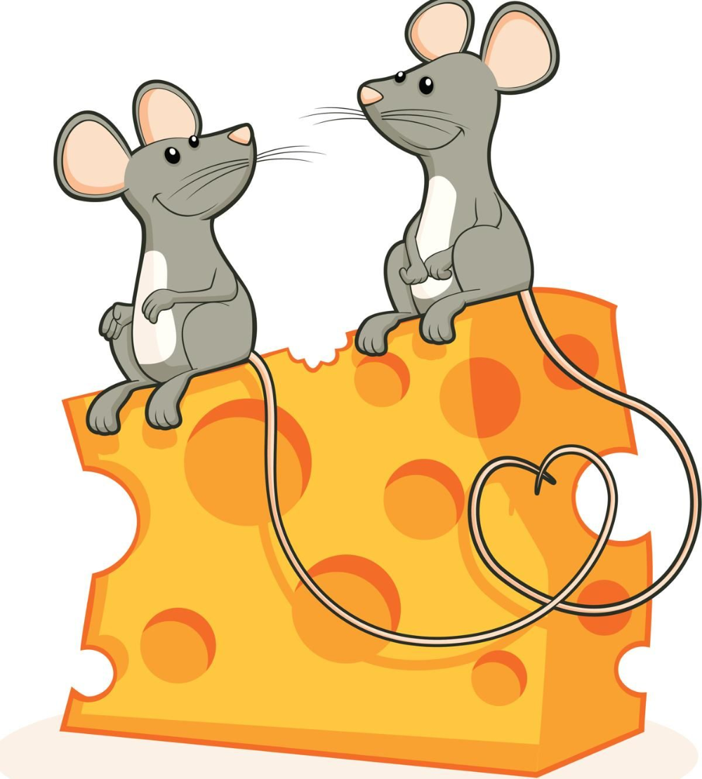 Картинка мышки. Мышка рисунок. Мышка картинка для детей. Веселый мышонок. Мышка с сыром.