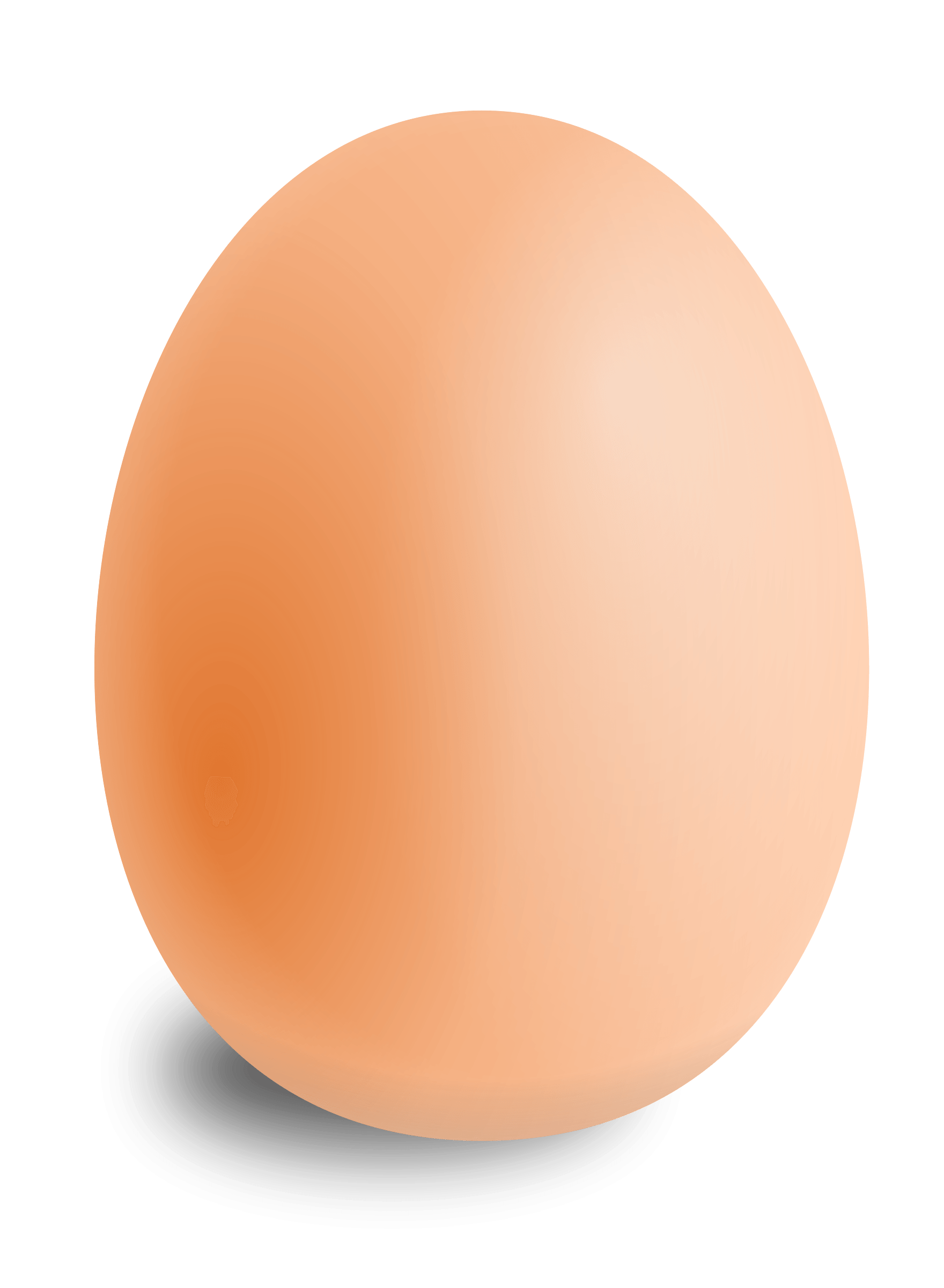 Яйцо картинка. Яйцо. Куриные яйца. Яйцо на белом фоне. Яички куриные.