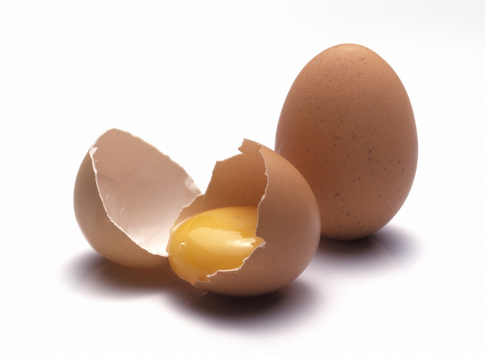 Фото яйца на белом фоне