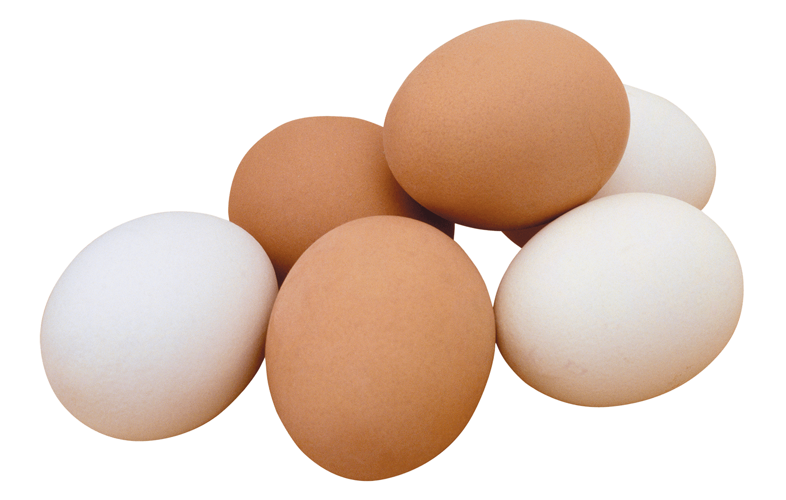 Яйцо куриное. Яйцо куриное на белом фоне. Яйцо на прозрачном фоне. Яйцо без фона. Фотки яичек