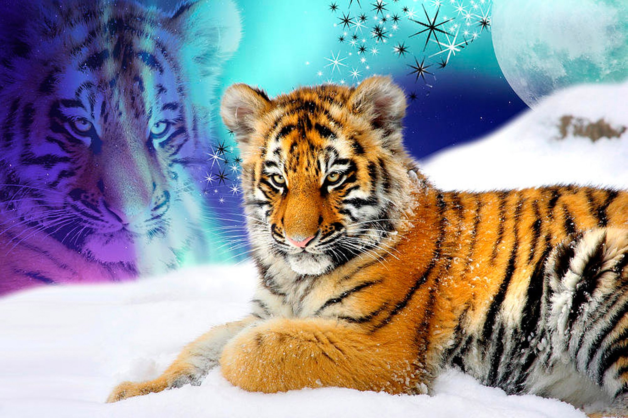 Год тигра 2025. Новогодний тигр. Новогодний Тигренок. Тигр новый год картинки. Красивый новогодний Тигренок.