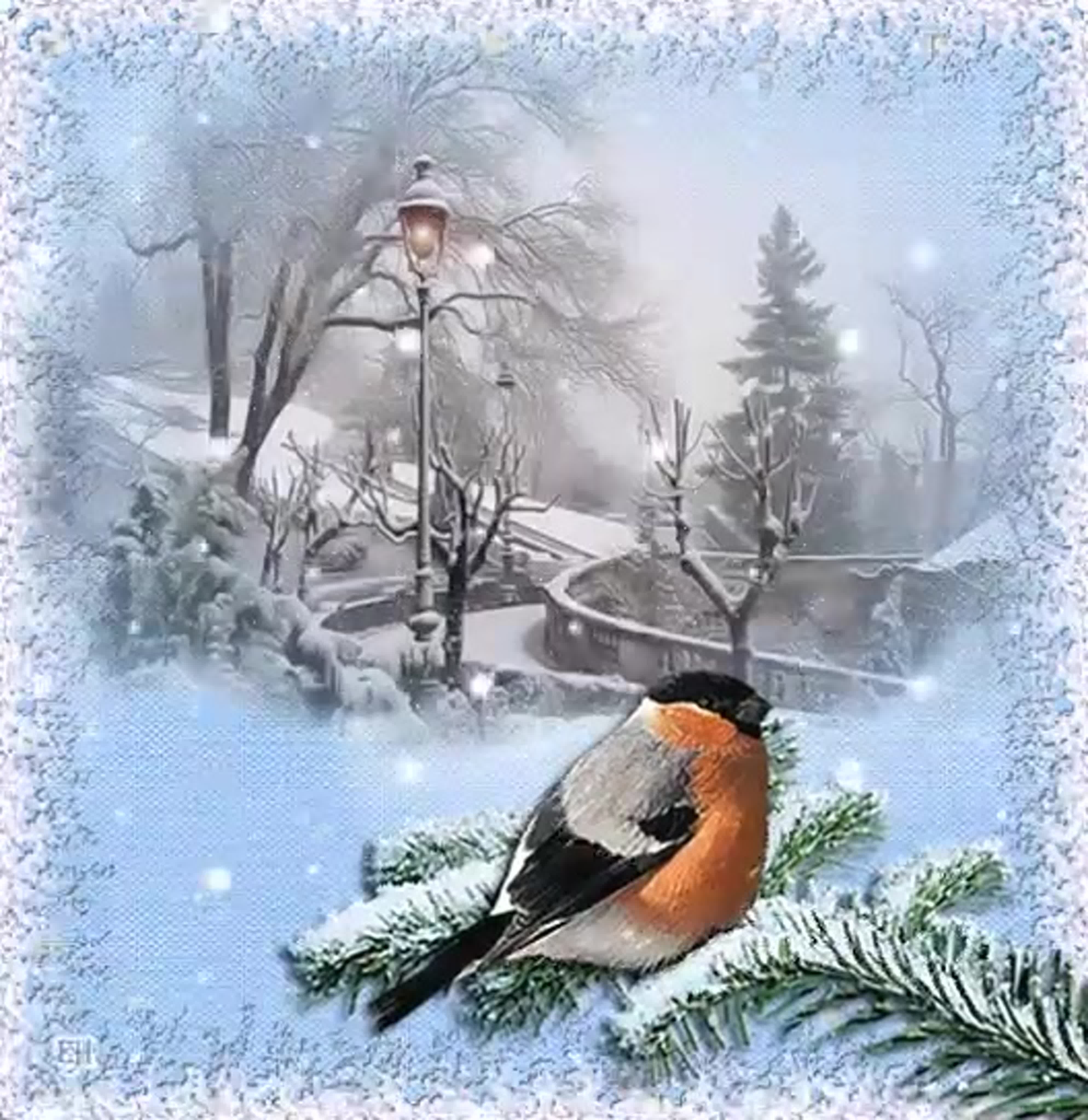 Бесплатные открытки зимой. Открытка зимняя. Красивые зимние открытки. Красивые открытки с зимним пейзажем. Доброе зимнее утро.
