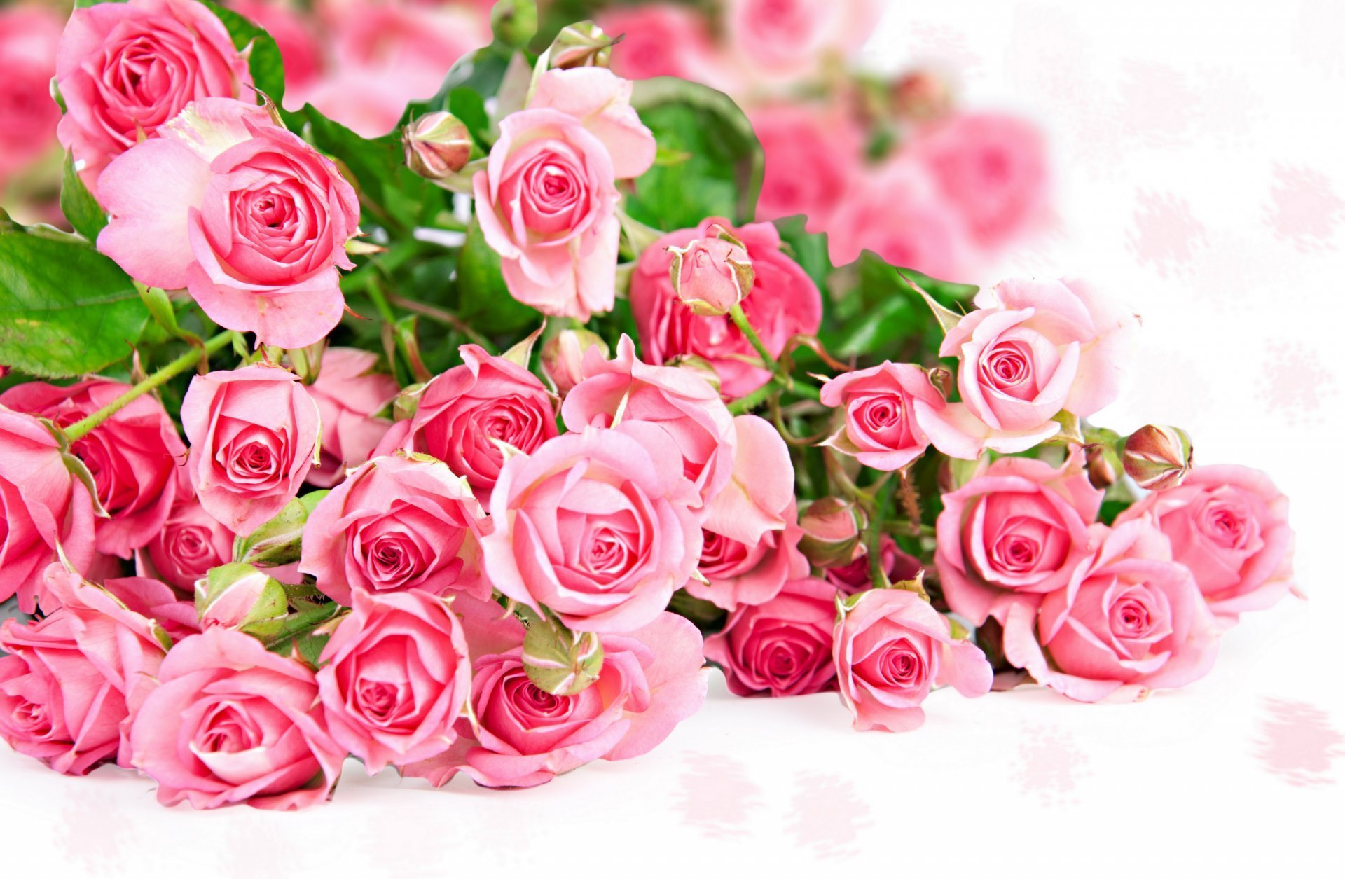 Открытки поздравляю розы. Розовые розы. Букет цветов фон. Красивый букет.