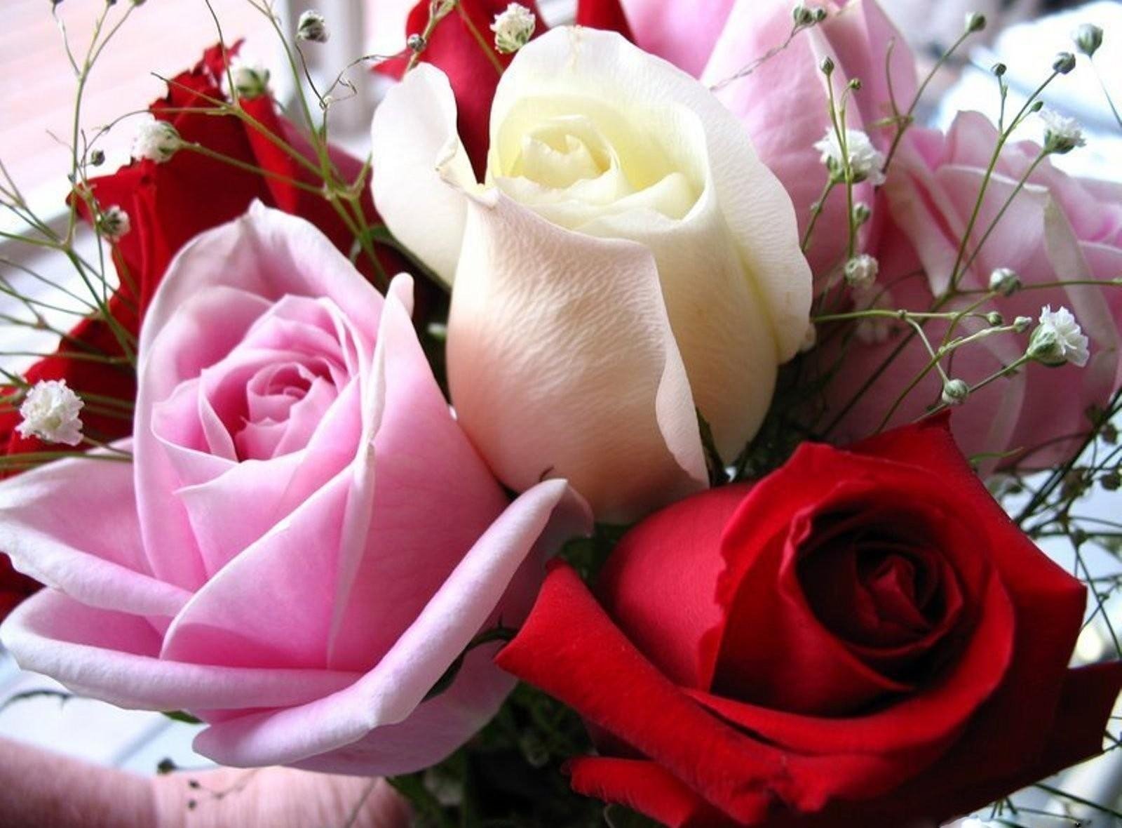 цветы розы женщине фото