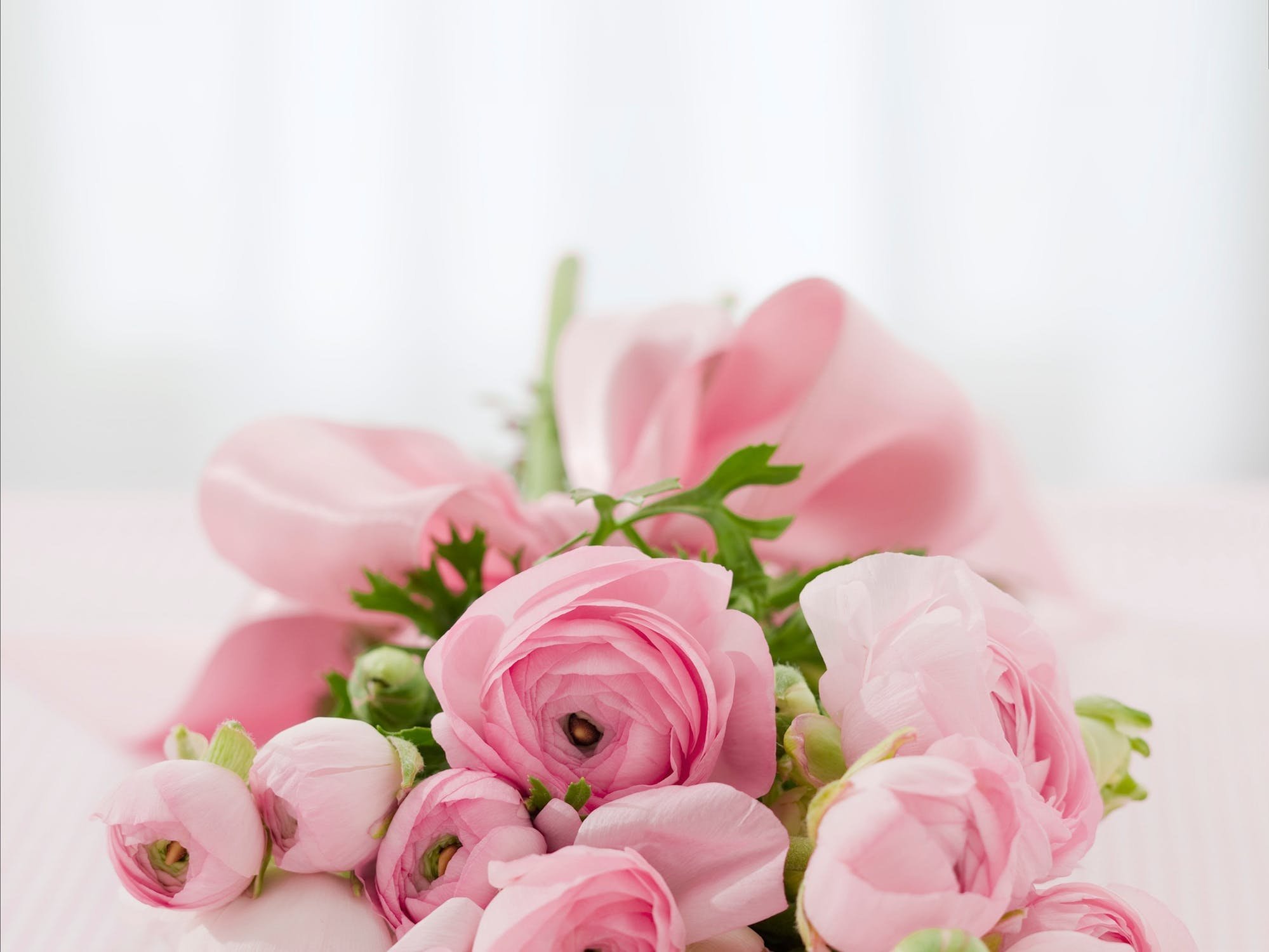 Розовая открытка с днем рождения. Анайлэн нуналэныз. Нежный цветок. Цветы нежные букеты. Нежный букет.