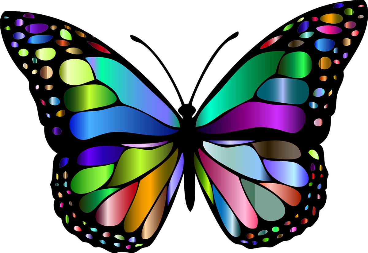 Цветные картинки. Разноцветные бабочки. Бабочки цветные. Красивые разноцветные бабочки. Бабочка рисунок.