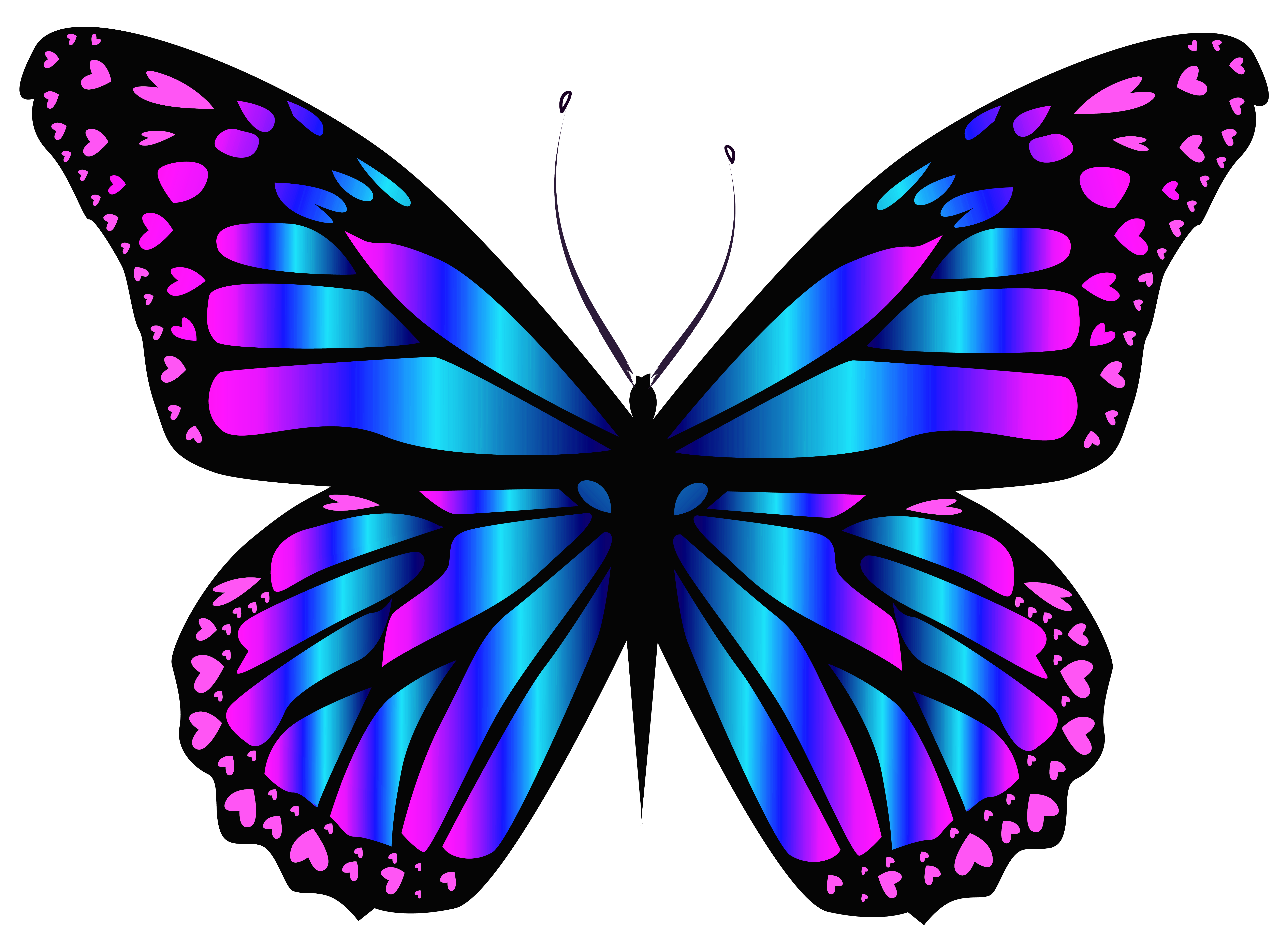 Пнг изображения. Бабочка. Бабочка рисунок. Разноцветные бабочки. Бабочки цветные.