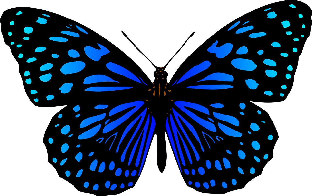 Разноцветные бабочки. Бабочка рисунок. Бабочки цветные. Красивые бабочки на белом фоне.