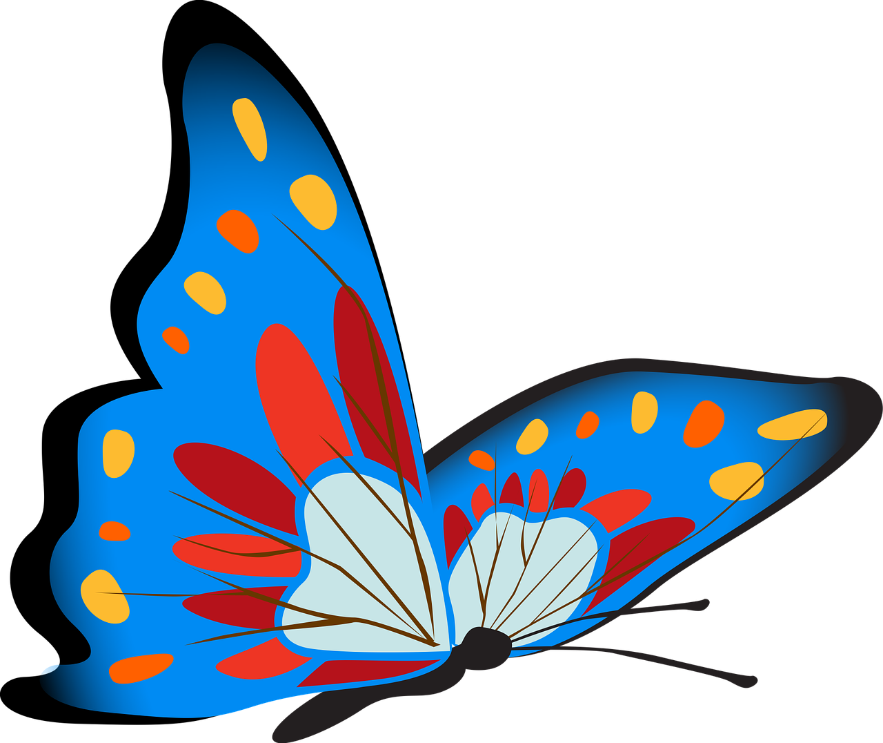 Бабочки цветные картинки для вырезания. Бабочка рисунок. Бабочки цветные. Бабочки для вырезания цветные. Бабочки рисунки цветные.