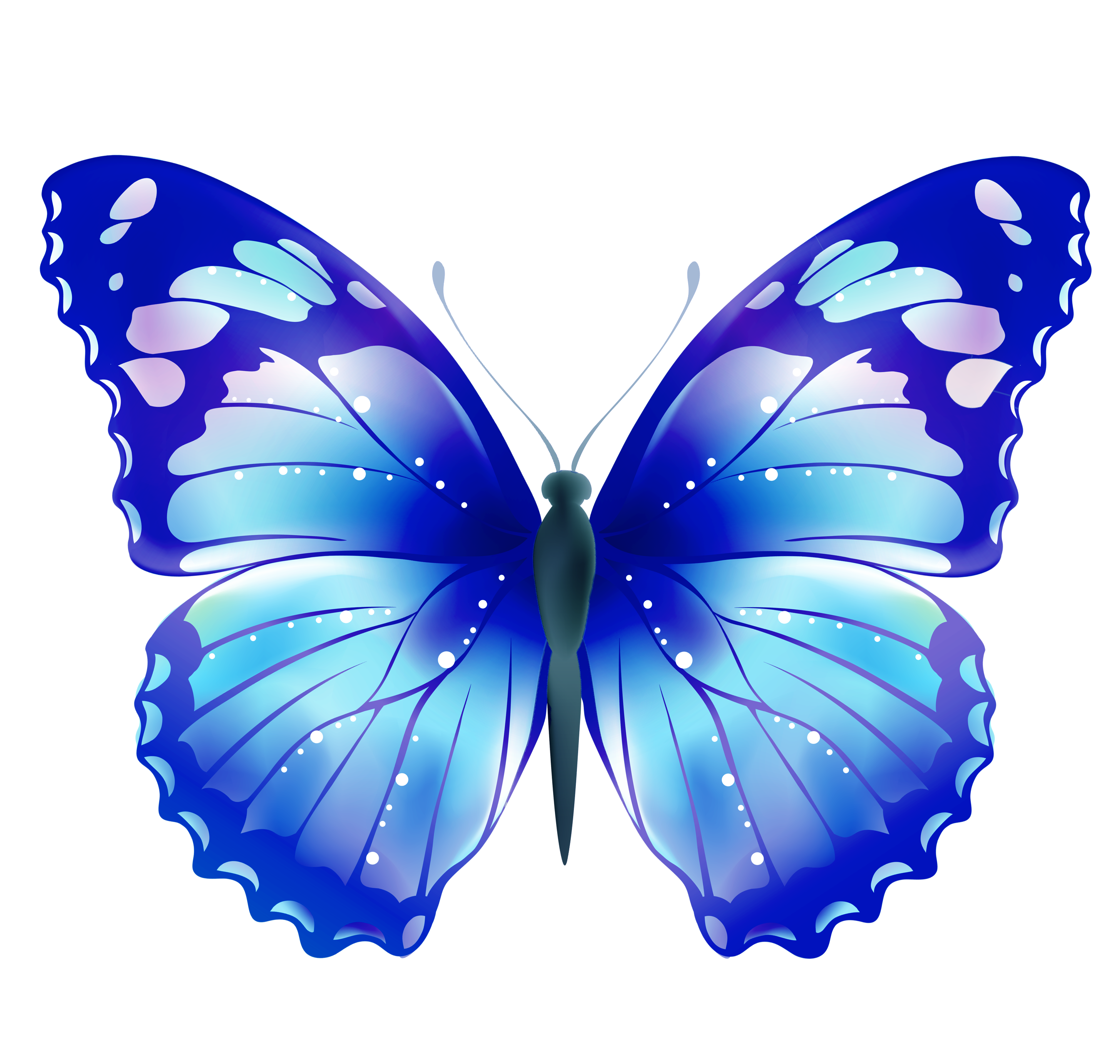 Бело голубые бабочки. Бабочки цветные. Красивые бабочки на прозрачном фоне. Синие бабочки на белом фоне. Бабочка рисунок.