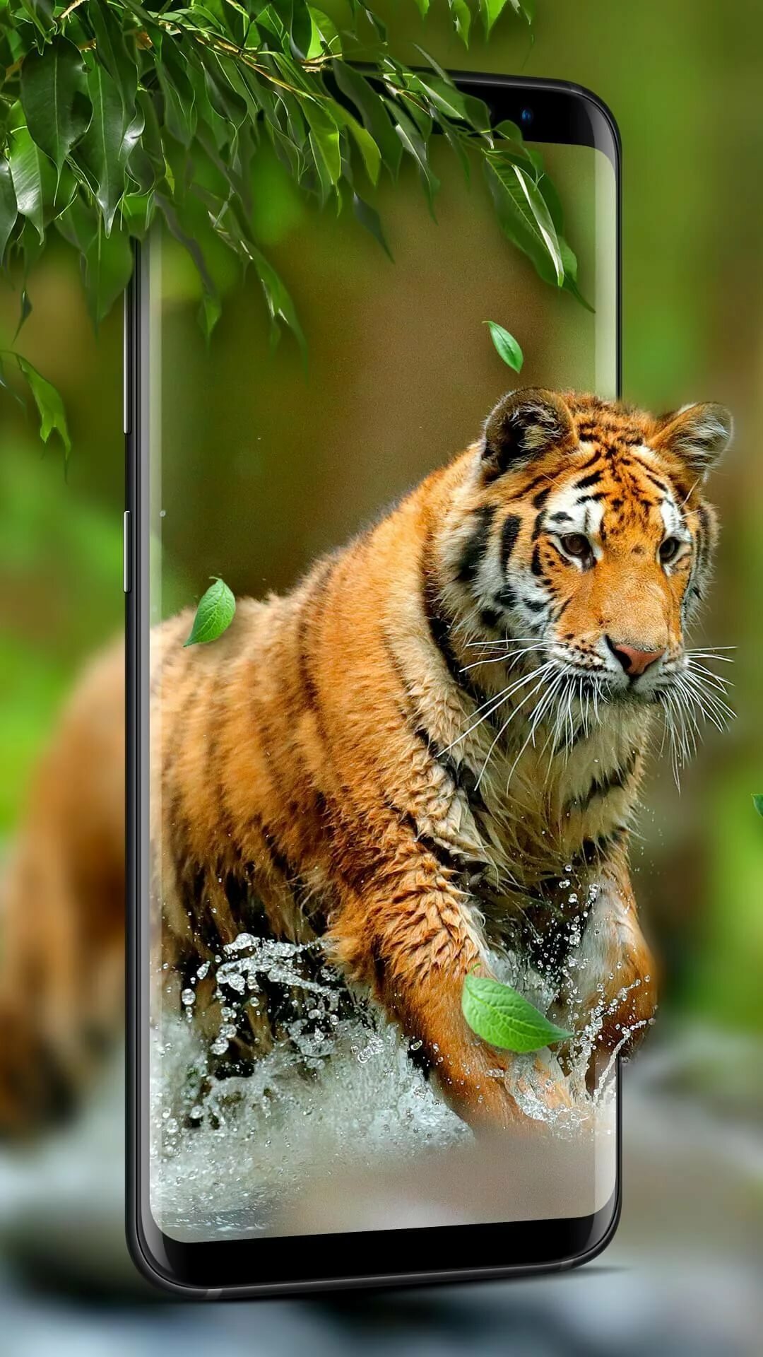 живые картинки животных на телефон на заставку