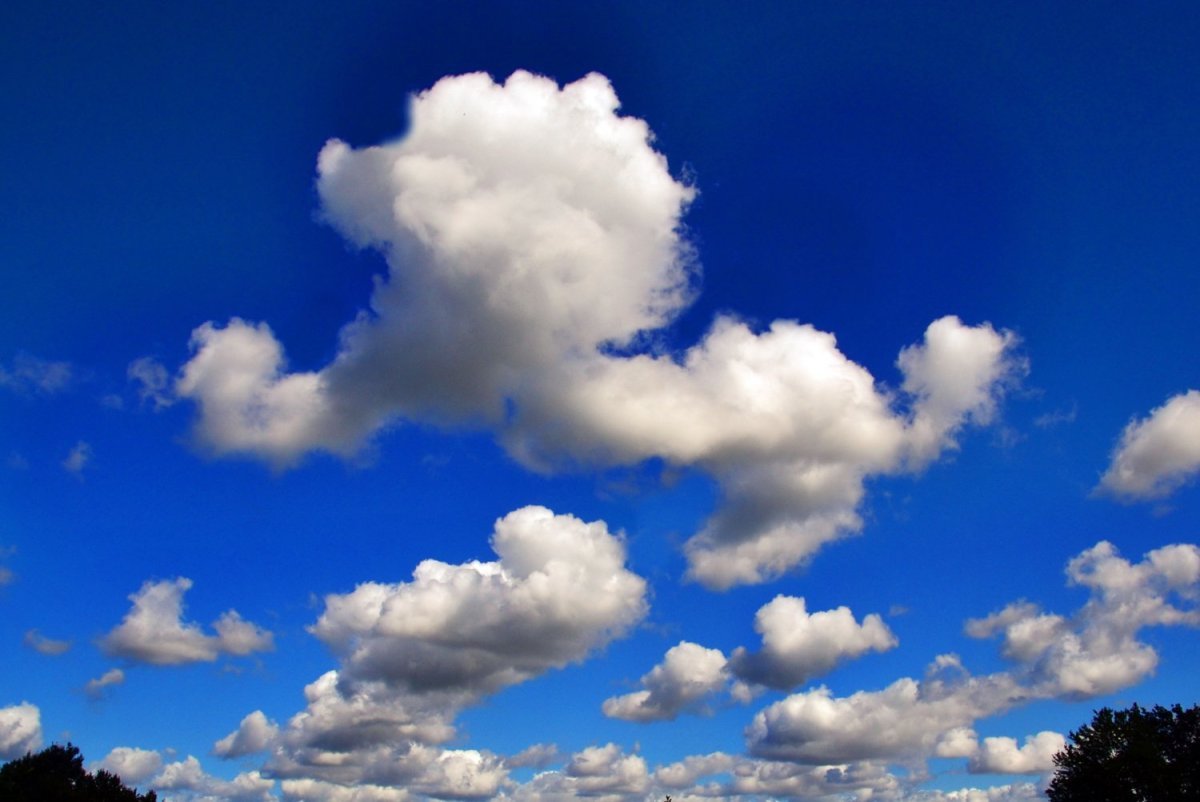 фото облаков похожих на животных