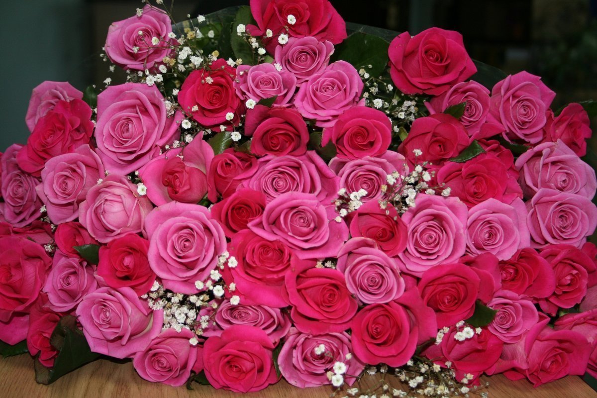 красивейшие розы мира в букетах фото