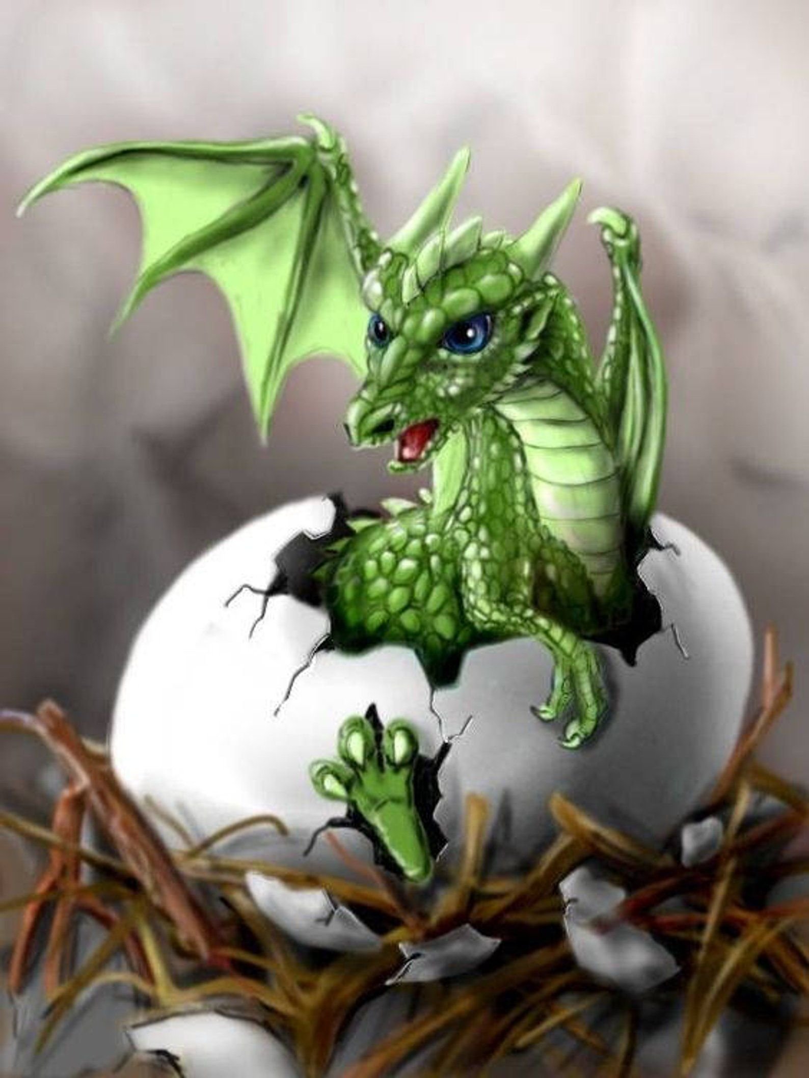 картинки яиц дракона