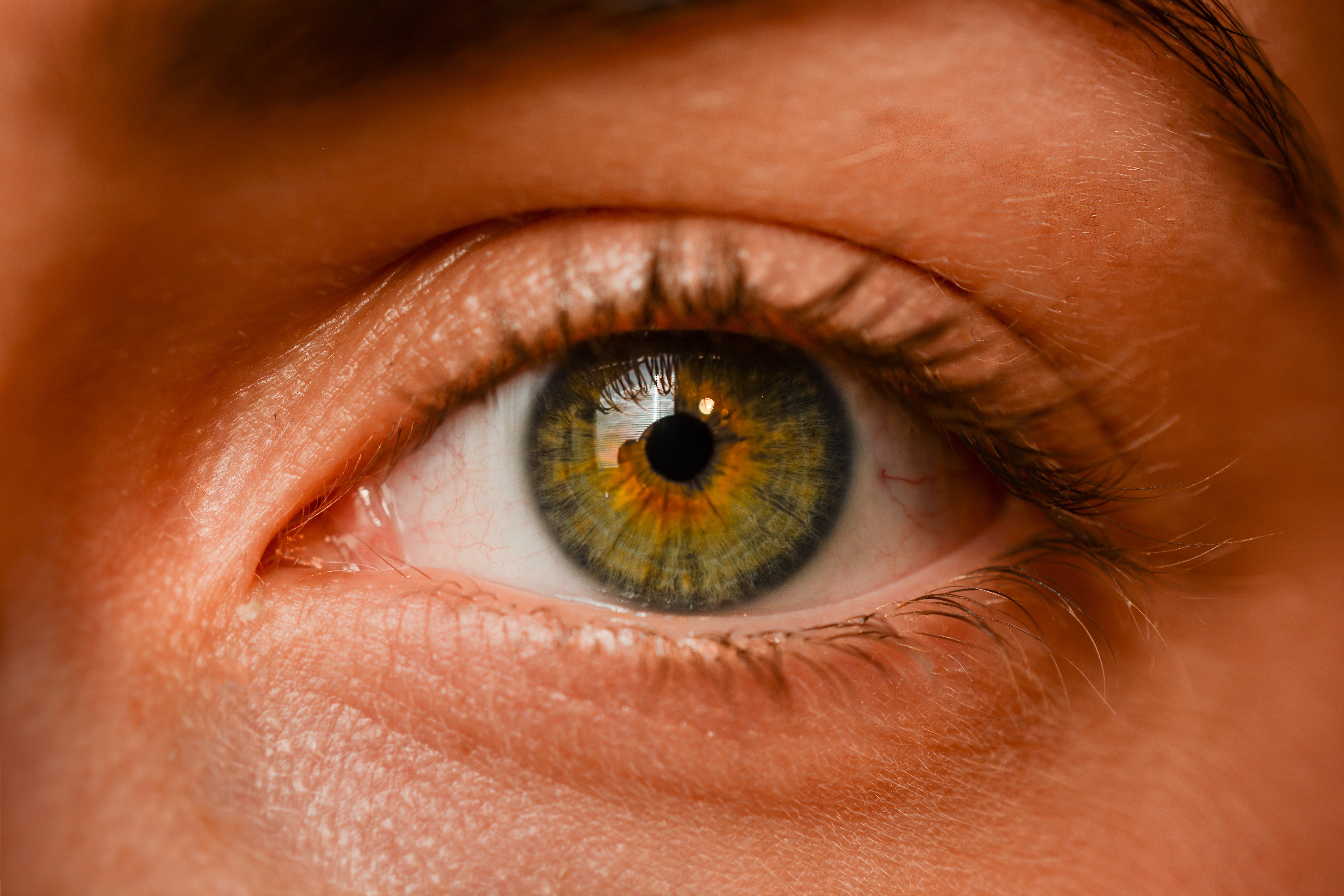 Хазел цвет глаз. Человеческий глаз. Карие глаза с зеленым оттенком. Глаз крупно.