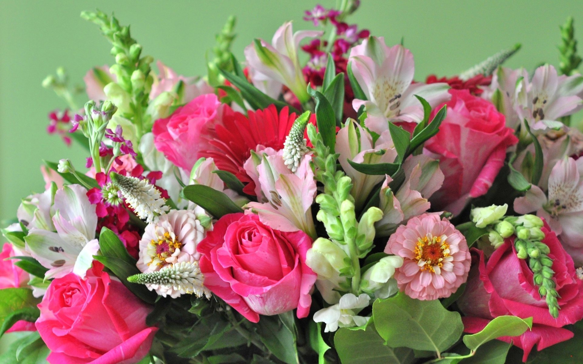 Бесплатные красивые открытки букеты цветов. Остеросперос цветы. Красивый букет. Красивейшие букеты. Шикарный букет цветов.