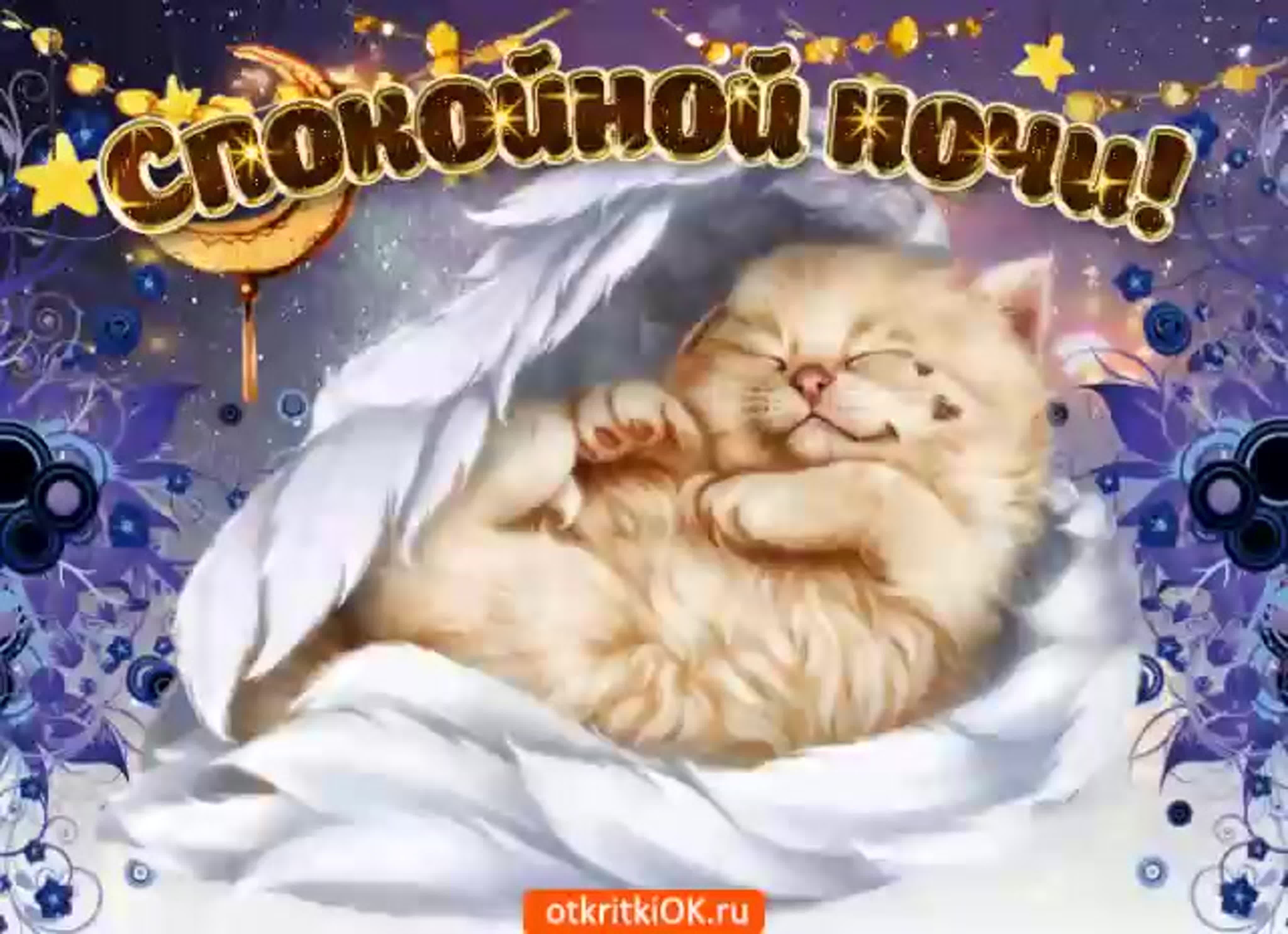 Гифки котиков спокойной ночи. Спокойной ночи сладких снов. Открытки с пожеланием спокойной ночи. Доброй ночи красивых снов. Открытка приятных сновидений.