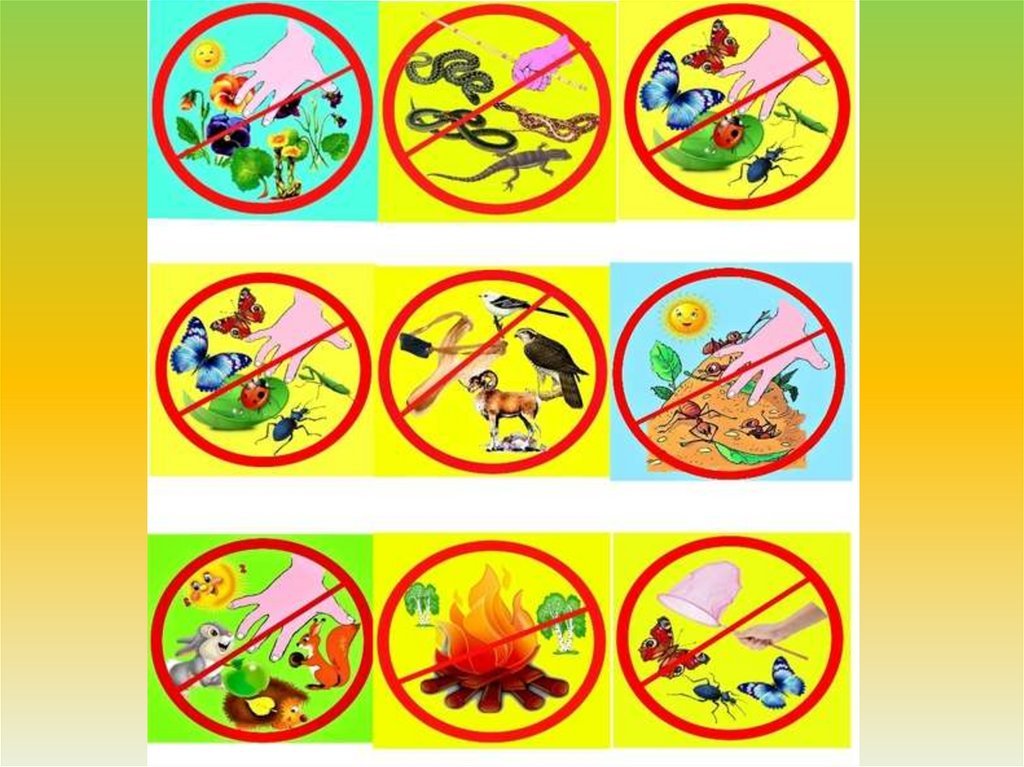 Экологические знаки для дошкольников. Экологические знаки по охране природы. Запрещающие знаки в природе. Экологические знаки для детей. Природоохранные знаки в детском саду.